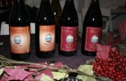 sedwinefest_02